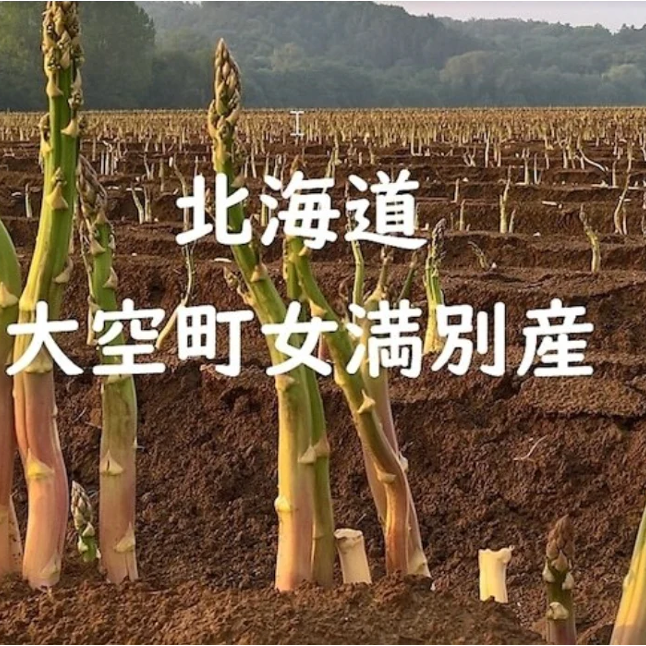 2023年完売！今が旬！ 大人気の北海道女満別産　栄養満点夏アスパラガス入荷速報！
