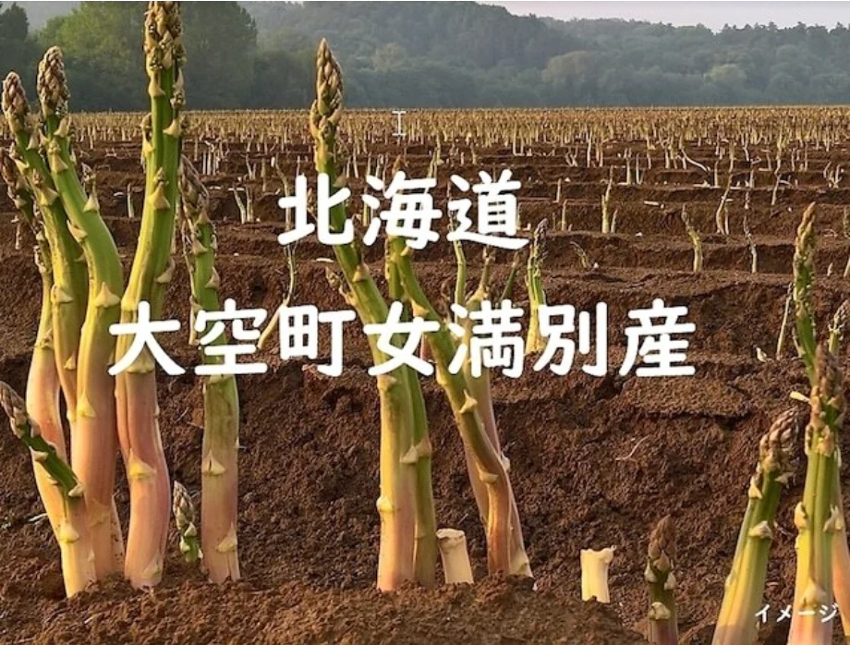 2023年完売！今が旬！ 大人気の北海道女満別産　栄養満点夏アスパラガス入荷速報！