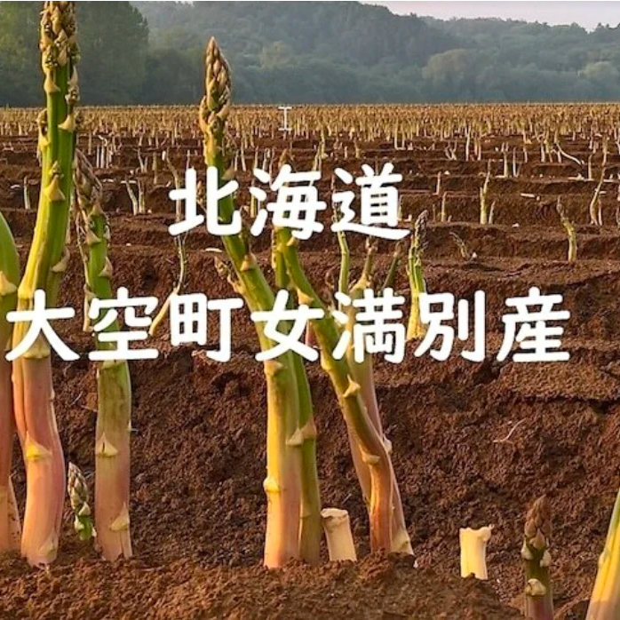 2023年完売！今が旬！ 大人気の北海道女満別産　栄養満点高級アスパラガス入荷速報！
