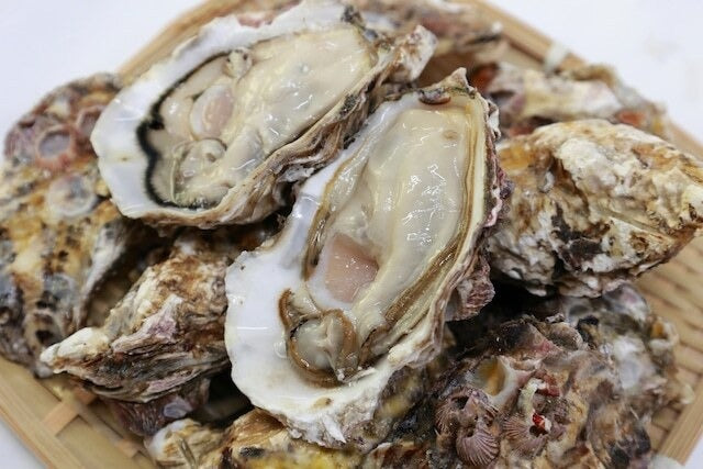 【北海道産】【殻付き】生牡蠣 15個セット